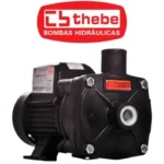 Motobomba Centrífuga Monoestágio B-12 IP-55 1/3 CV Monofásico Bivolt 127/220V THEBE EBARA-125.01.964014 - Imagem 3