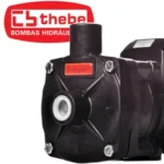 Motobomba Centrífuga Monoestágio B-12 IP-55 1/3 CV Monofásico Bivolt 127/220V THEBE EBARA-125.01.964014 - Imagem 4