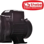 Motobomba Centrífuga Monoestágio B-12 IP-55 1/3 CV Monofásico Bivolt 127/220V THEBE EBARA-125.01.964014 - Imagem 5