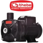 Motobomba Centrífuga Monoestágio B-12 IP-55 1/3 CV Monofásico Bivolt 127/220V THEBE EBARA-125.01.964014 - Imagem 6